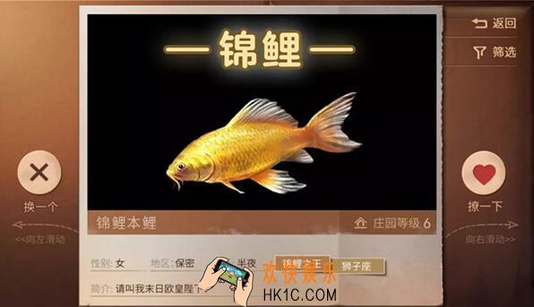 明日之后标签锦鲤之王是什么意思 锦鲤之王标签作用详解
