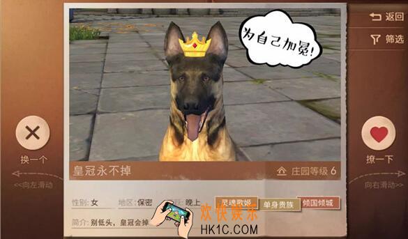 明日之后标签单身贵族是什么意思 单身贵族标签详解