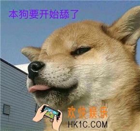 舔狗模式已开启 舔狗全套表情包下载