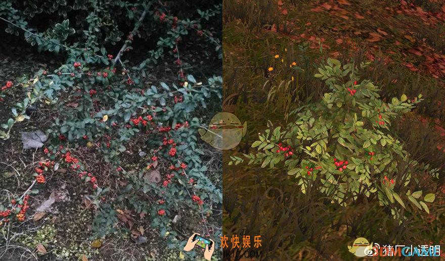 明日之后有哪些表情包_明日之后沙雕表情包分享