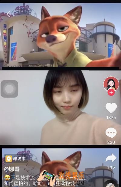 抖音兔子和狐狸三段分屏视频必备素材_下载疯狂动物城原视频地址分享