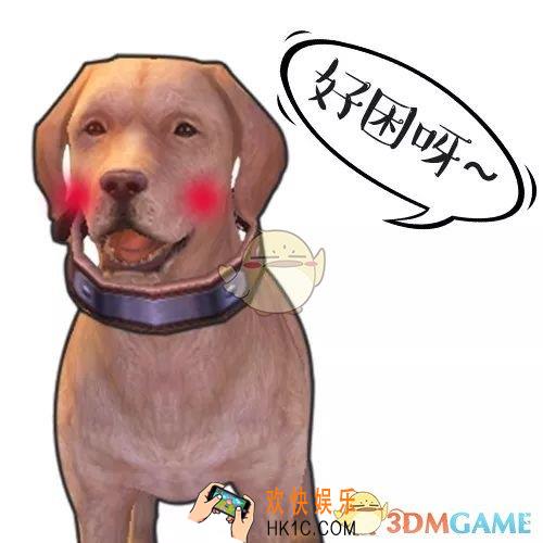 明日之后怎么查看自己的狗狗的性格_查看狗的性格的方法介绍