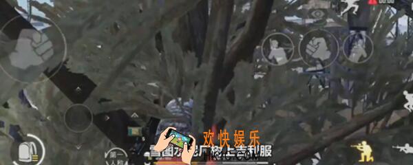 绝地求生刺激战场雪地水泥厂上树阴人技巧 位置在哪