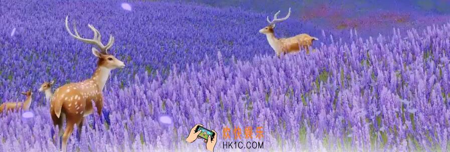 剑网3指尖江湖2019苍云宠物地点图文汇总_苍云宠物怎么获得