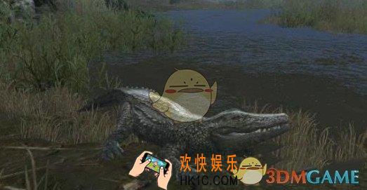 明日之后茅斯沼泽资源点在哪_稀有材料资源点分布一览