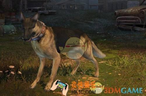 明日之后宠物狗有什么作用_明日之后选择什么狗最好