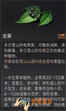 明日之后龙葵在哪_龙葵采集位置介绍