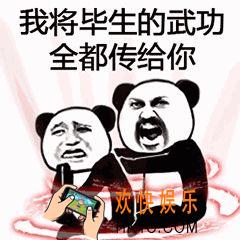 抖音武功秘籍表情包大全_武功秘籍全图高清下载