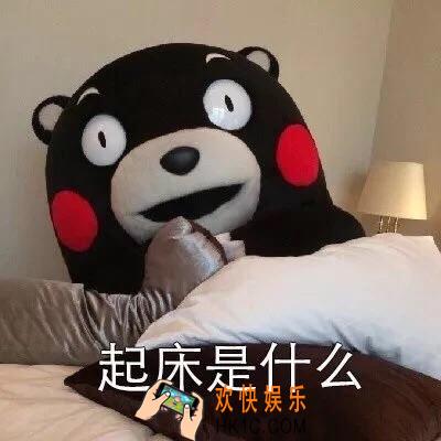 抖音起床是什么系列组图下载_起床是什么熊本熊系列表情包