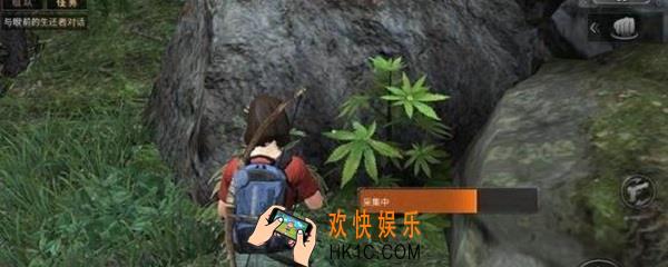 明日之后麻哪里比较多_去哪里采集麻比较快