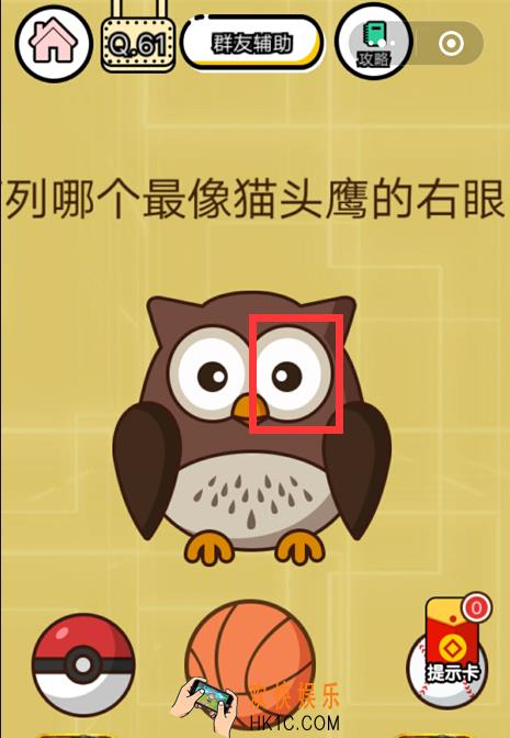 微信智力达人游戏第61关通关攻略_下列哪个最像猫头鹰的右眼