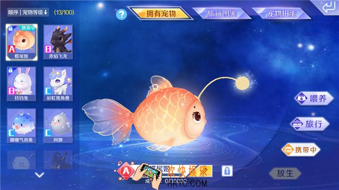 QQ炫舞萌宠怎么进阶_养护宠物需要注意什么