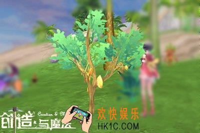 创造与魔法可可豆有什么用 可可豆位置分布