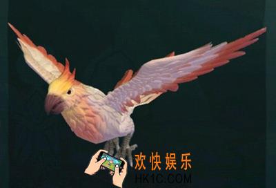 创造与魔法云斑鹦鸟在哪里捕捉 幼鲭鲨饲料配方