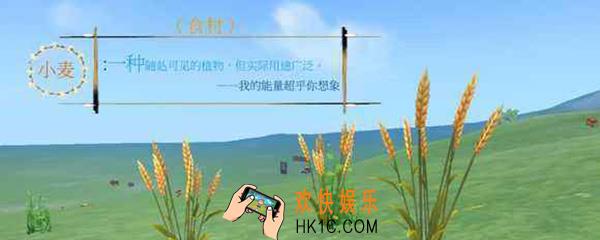 创造与魔法小麦饲料包怎么做 小麦饲料包合成方法