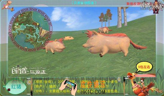 创造与魔法红猪属性 红猪分布位置及捕捉方法