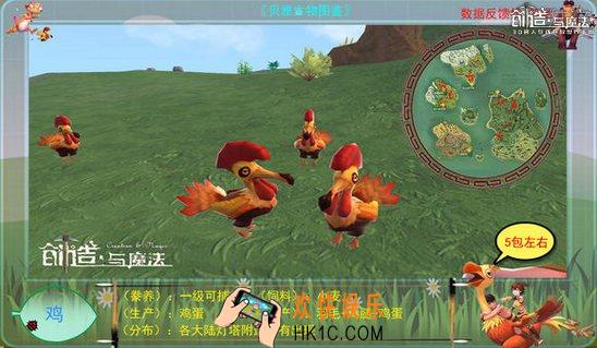 创造与魔法鸡属性 鸡分布位置及捕捉方法