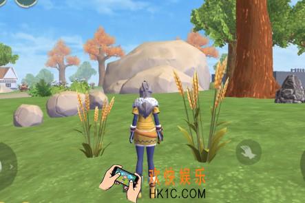 创造与魔法小麦哪里有 小麦资源分布图