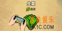 黑暗料理王生菜怎么得 生菜获得攻略