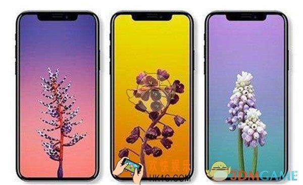 iPhoneX第三方数据访问设备失败解决方法_第三方数据访问失败怎么办