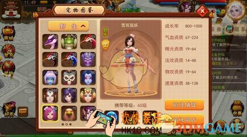 道无边宠物系统介绍_宠物系统功能玩法详细介绍