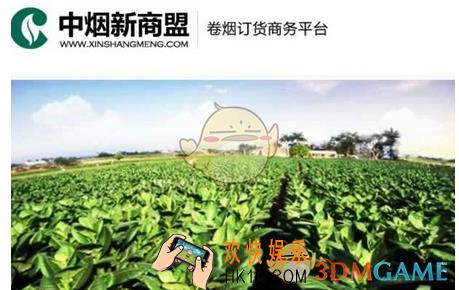 新商盟网上订烟每周安排时间介绍_订烟安排时间表