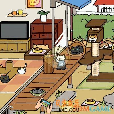 猫咪后院怎么赶走猫咪 赶走猫咪方法介绍