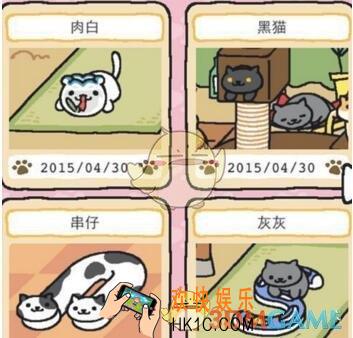 猫咪后院特殊猫收集方法攻略_特殊猫怎么收集