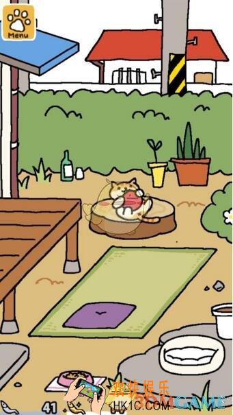 猫咪后院吸引猫的方法攻略_怎么吸引猫