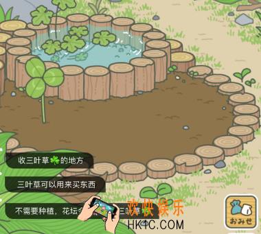 旅行青蛙三叶草成熟时间说明_三叶草多久长出来