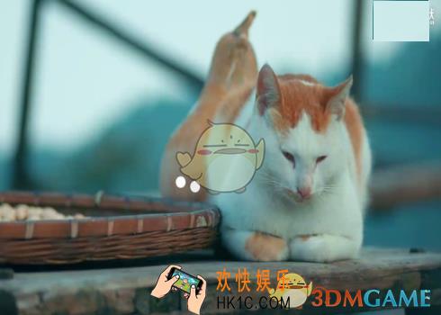 新浪微博下载秒拍视频方法介绍_怎么下载秒拍视频