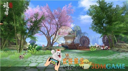 琅琊榜之风起长林宠物快速养成小妙招_琅琊榜之风起长林宠物如何快速养成