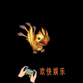 神武3宠物大嘴鸟怎么样_神武3大嘴鸟简介