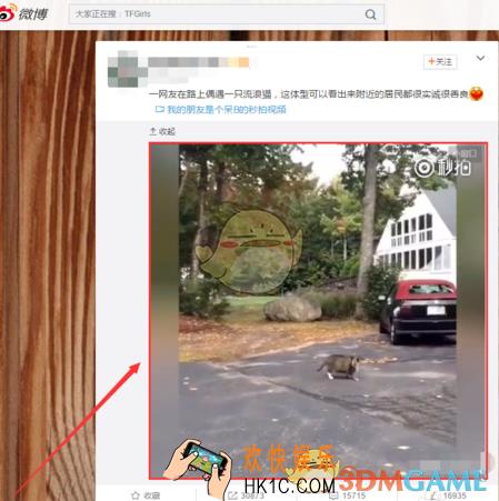 谷歌浏览器怎么下载网页视频_谷歌浏览器下载网页视频方法介绍