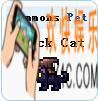 泰拉瑞亚手机版黑猫怎么得_泰拉瑞亚手机版黑猫获取方法