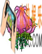 泰拉瑞亚手机版世纪之花怎么打_泰拉瑞亚手机版世纪之花打法攻略