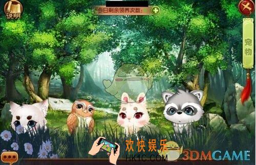 熹妃传侍卫用什么宠物好_熹妃传侍卫宠物