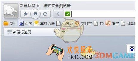 猎豹浏览器怎么查看历史记录_猎豹浏览器查看历史记录的方法介绍