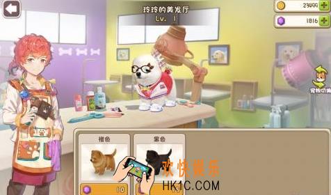 小汪汪狗狗行动力怎么恢复_小汪汪狗狗行动力恢复方法