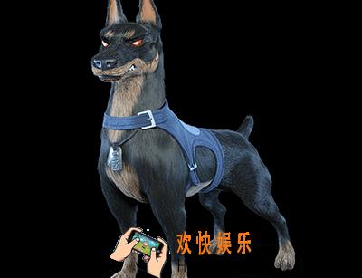 战地指挥官蓝卡军犬_战地指挥官卡牌图鉴军犬