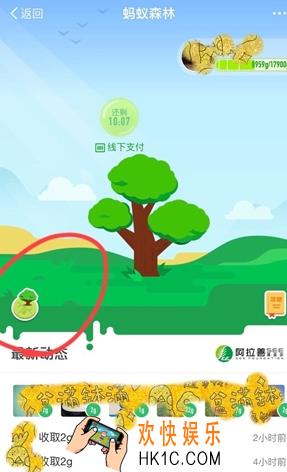 支付宝蚂蚁森林模拟地图是什么？支付宝蚂蚁森林模拟地图怎么进